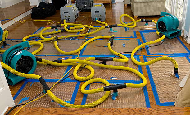Professional Basement Flood Cleanup technician working in Prosperity, SC